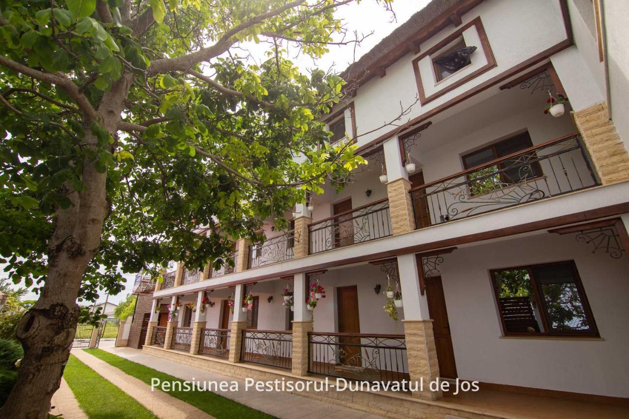 Pensiunea Pestisorul Dunavăţu de Jos Dış mekan fotoğraf