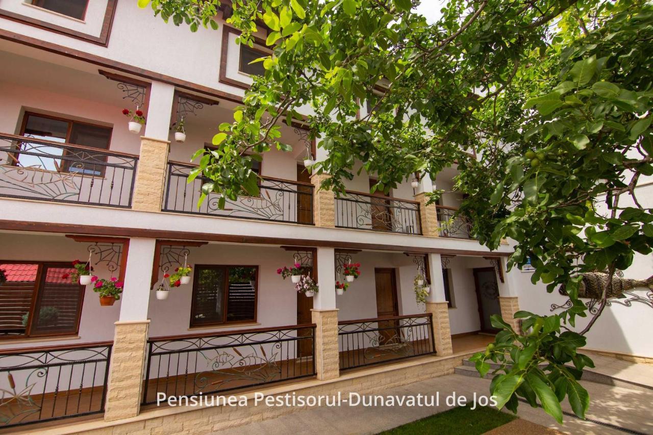 Pensiunea Pestisorul Dunavăţu de Jos Dış mekan fotoğraf